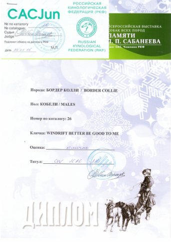  ОТЛИЧНО SW CACJun 2015