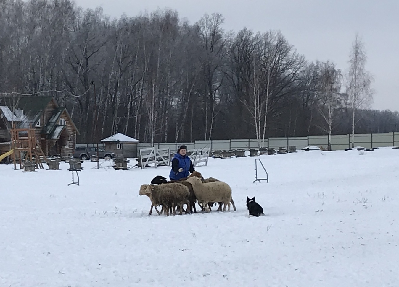 Валерия Рощак и Рутагор Полярная Звезда (ПУМА)